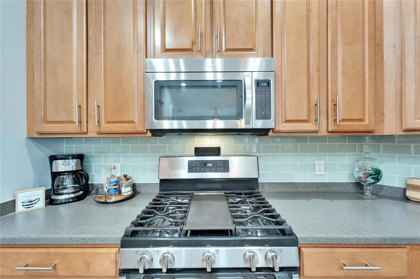 308 MANNS HARBOR DR, APOLLO BEACH, FL, 33572