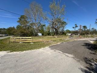 45347 CAROLINA ST, PAISLEY, FL, 32767