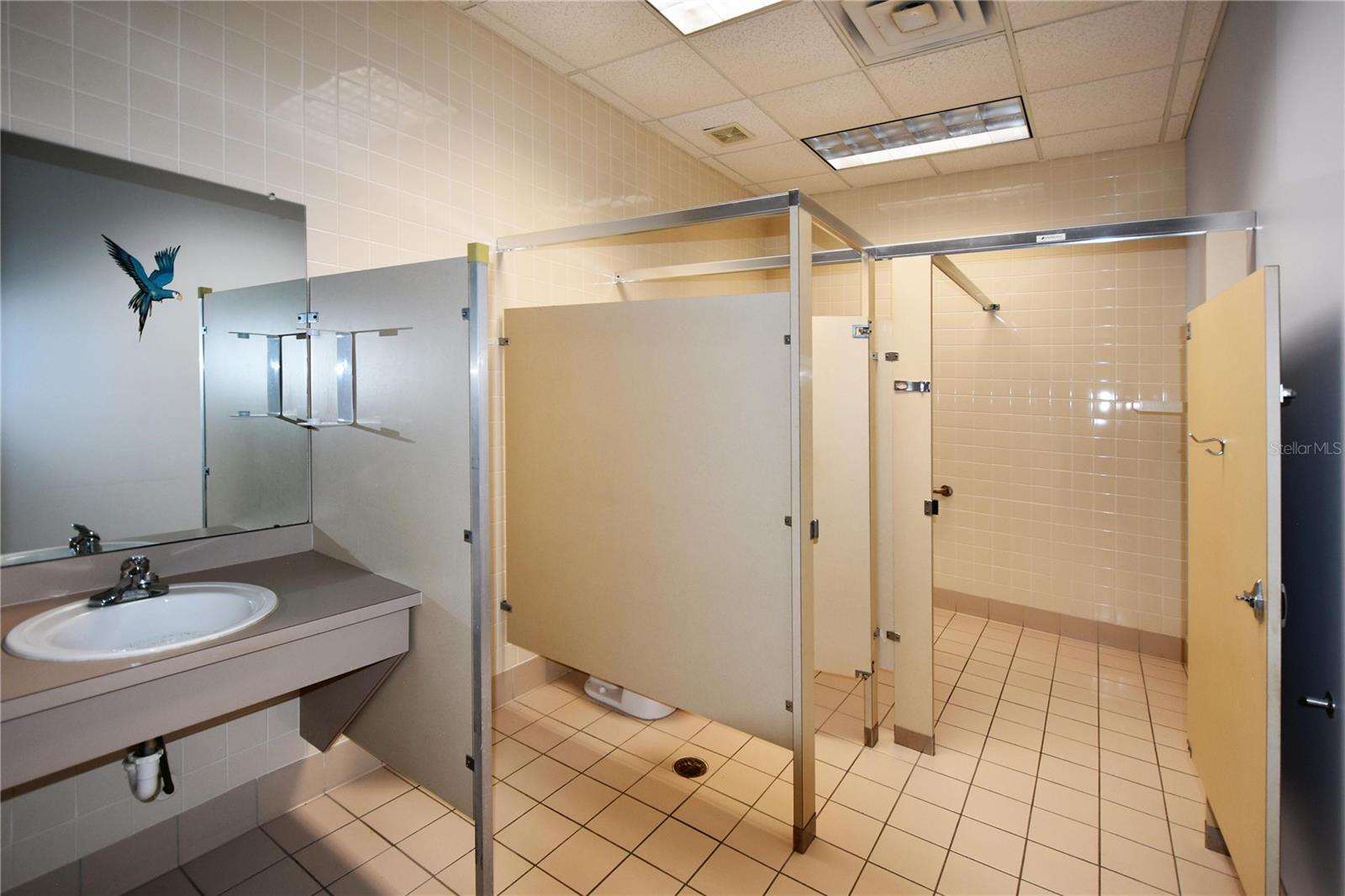 8202 WASHINGTON ST, PORT RICHEY, FL, 34668