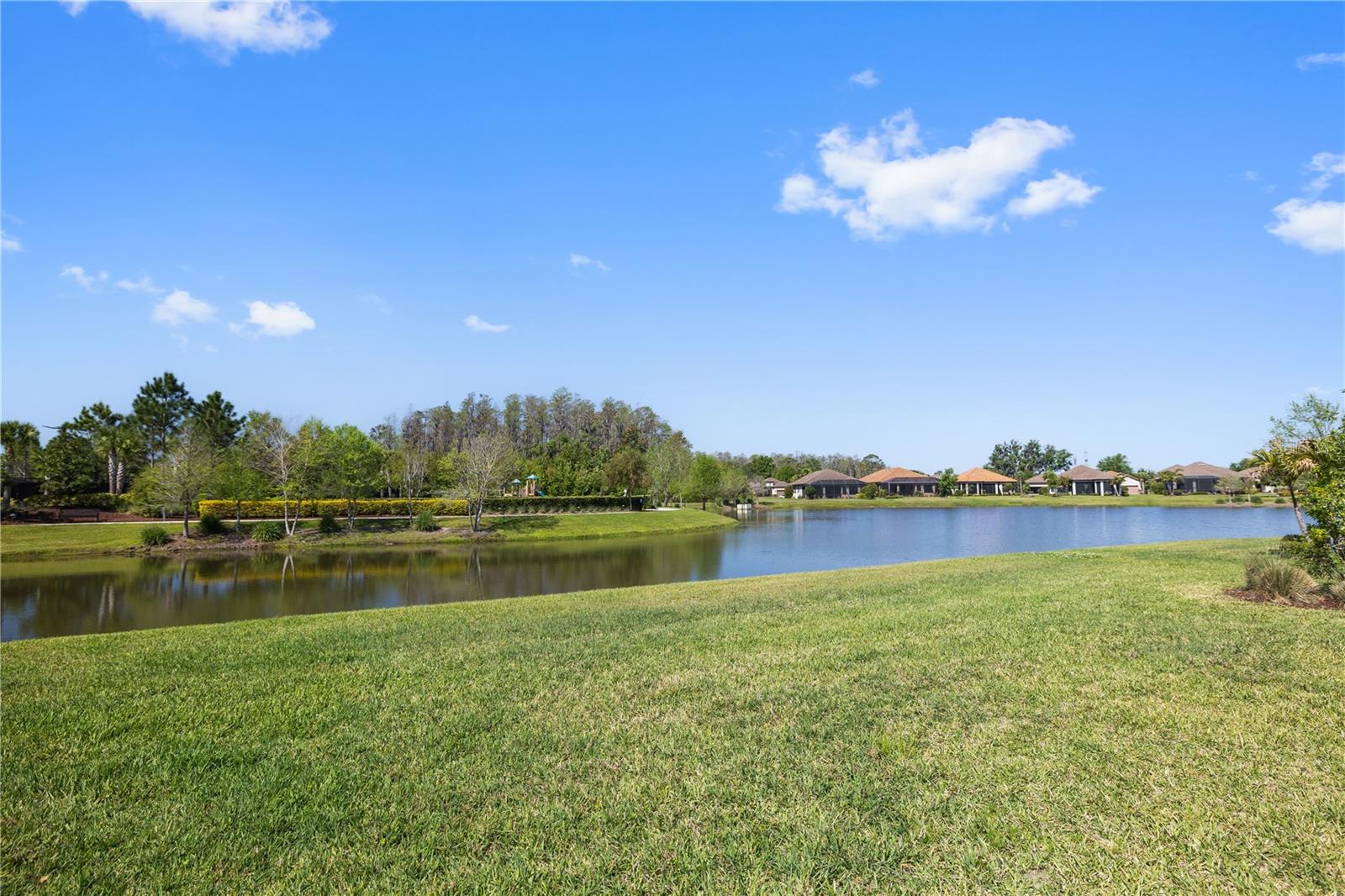 11414 JUGLANS DR, ODESSA, FL, 33556
