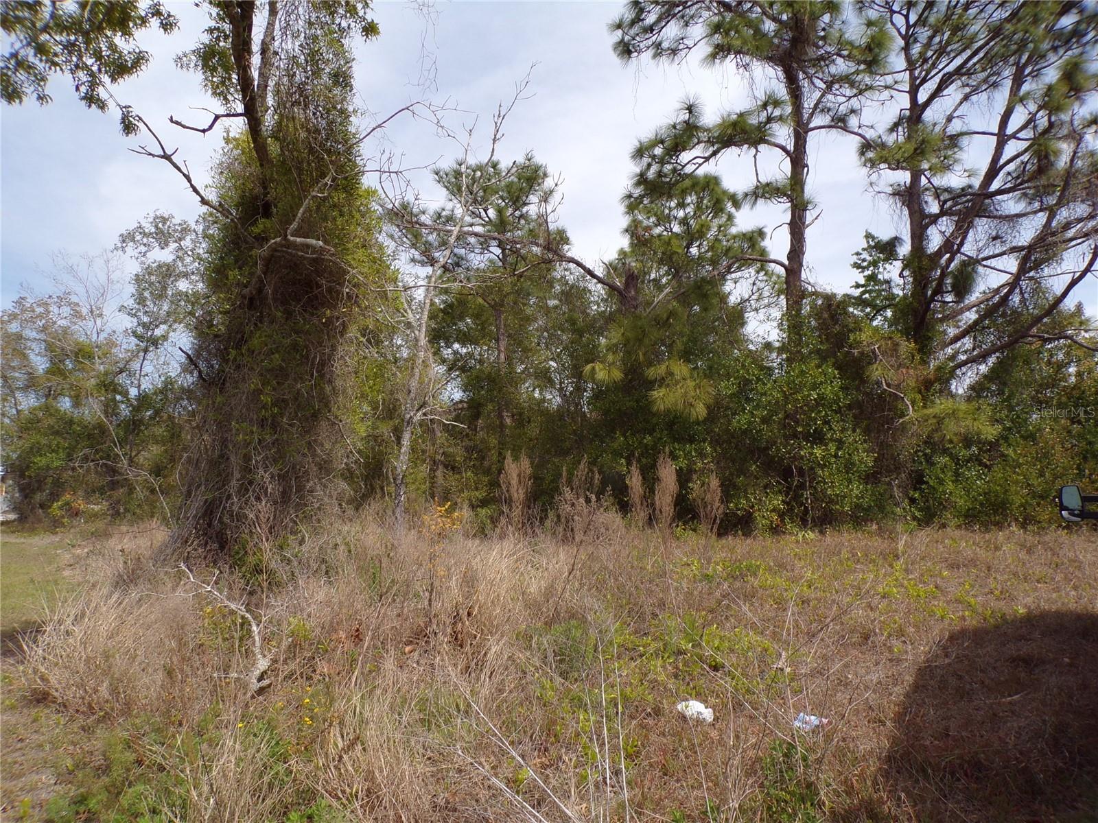4582 GONDOLIER RD, SPRING HILL, FL, 34609