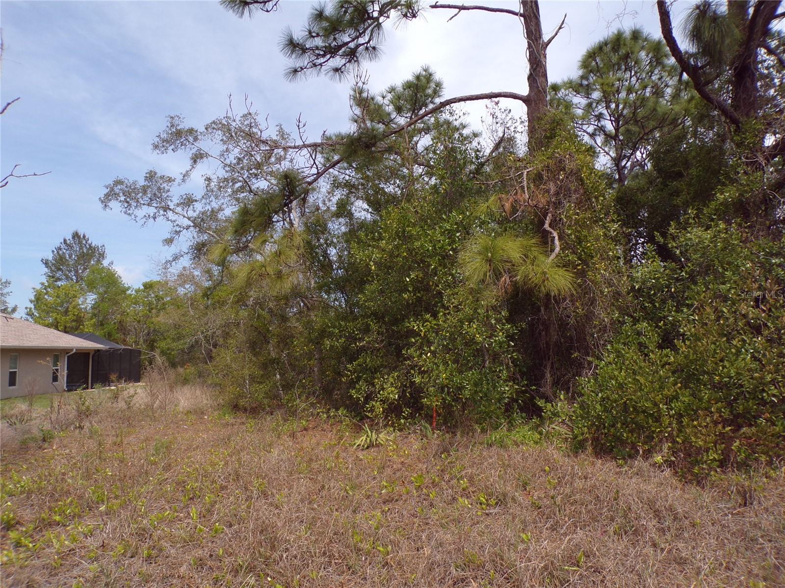 4582 GONDOLIER RD, SPRING HILL, FL, 34609