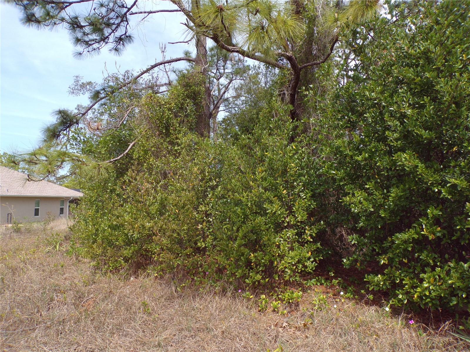 4582 GONDOLIER RD, SPRING HILL, FL, 34609
