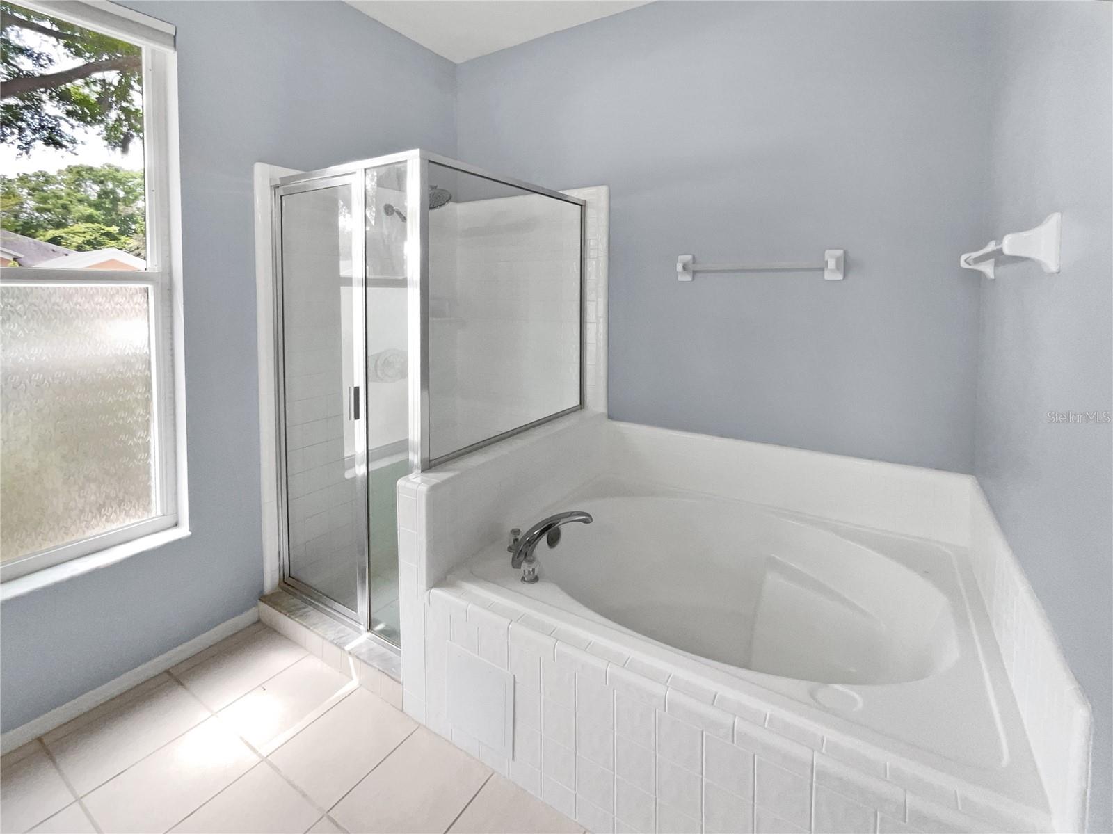 1051 SHIMMERING SAND DR, OCOEE, FL, 34761
