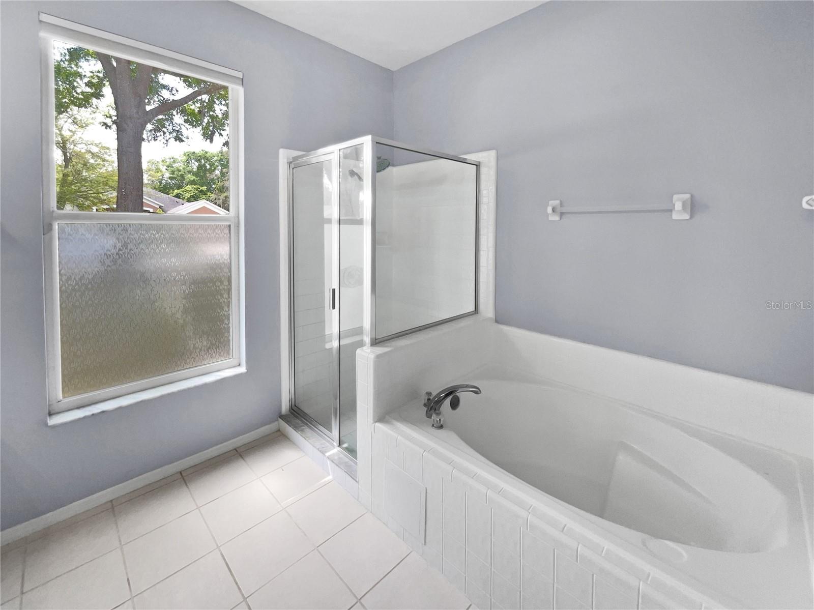 1051 SHIMMERING SAND DR, OCOEE, FL, 34761