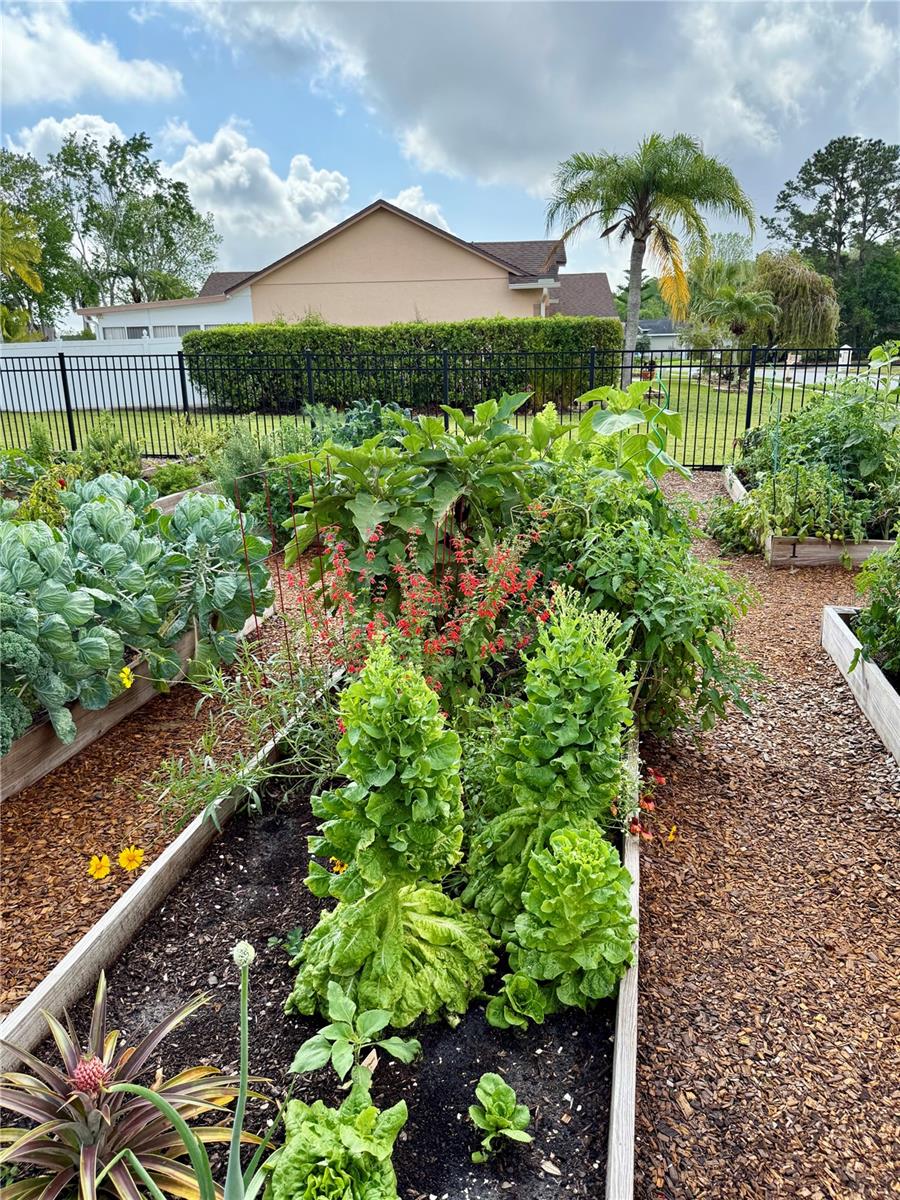 5572 DEER CREEK DR, ORLANDO, FL, 32821