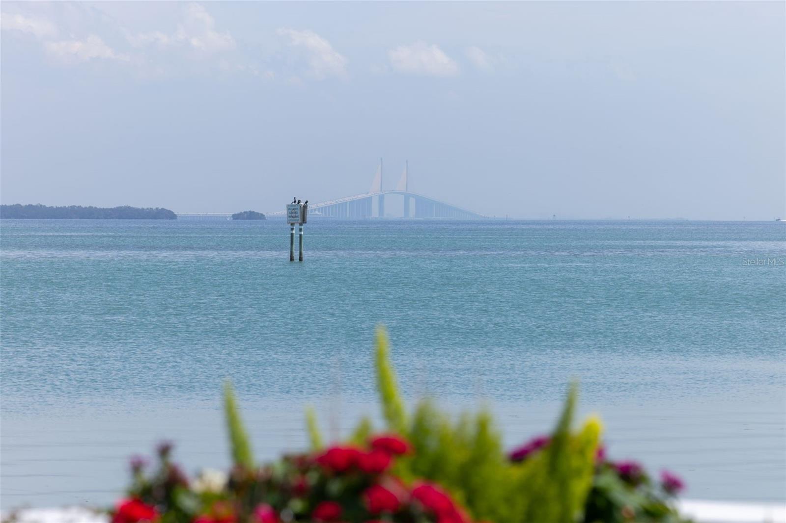 501 1ST AVE S, TIERRA VERDE, FL, 33715