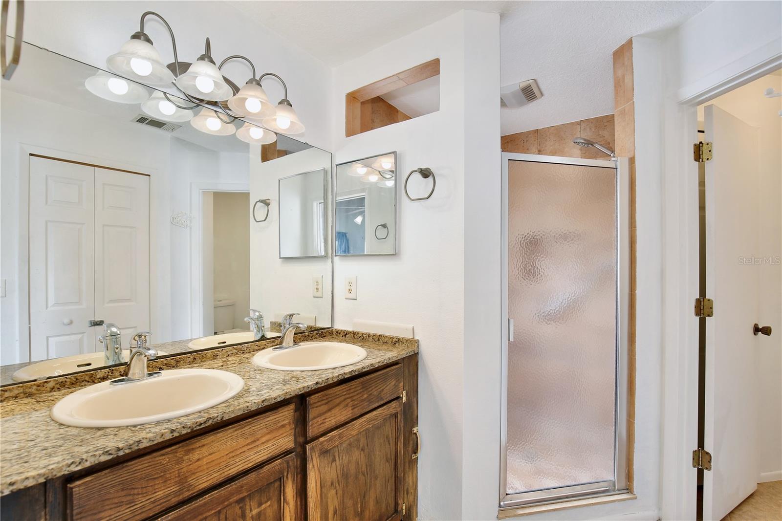 225 LANCER OAK DR, APOPKA, FL, 32712