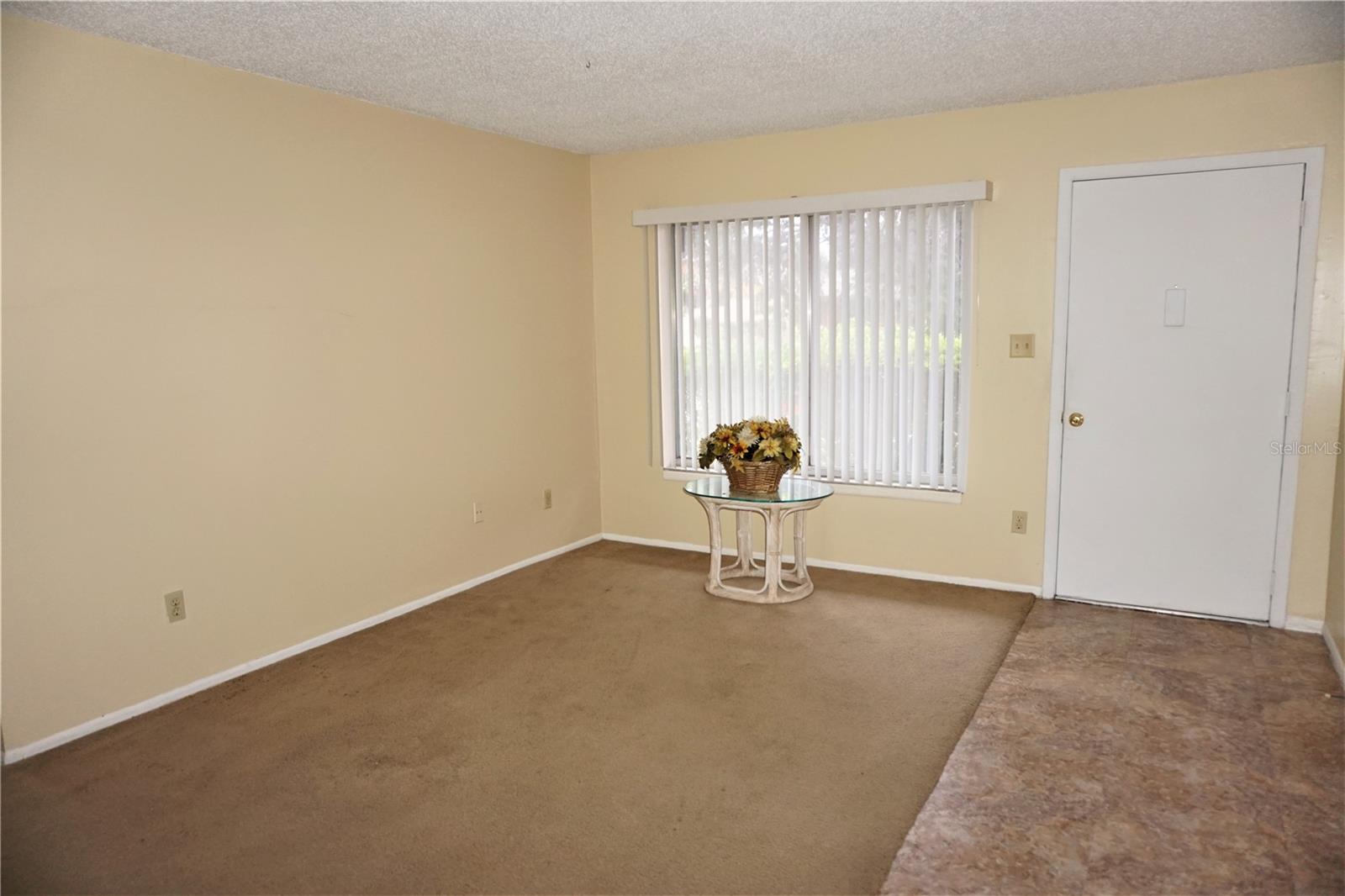 10443 LARISSA ST, ORLANDO, FL, 32821
