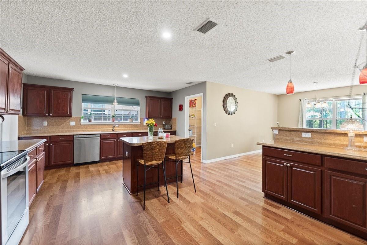14 SERBIAN BELLFLOWER TRL, PALM COAST, FL, 32164