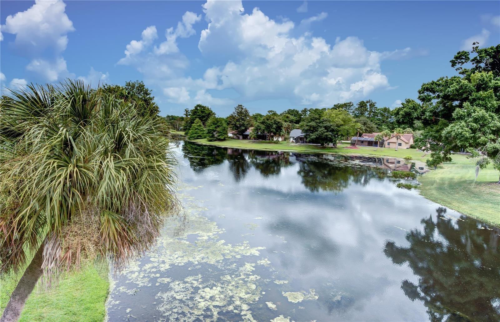 835 RIVERBEND BLVD, LONGWOOD, FL, 32779