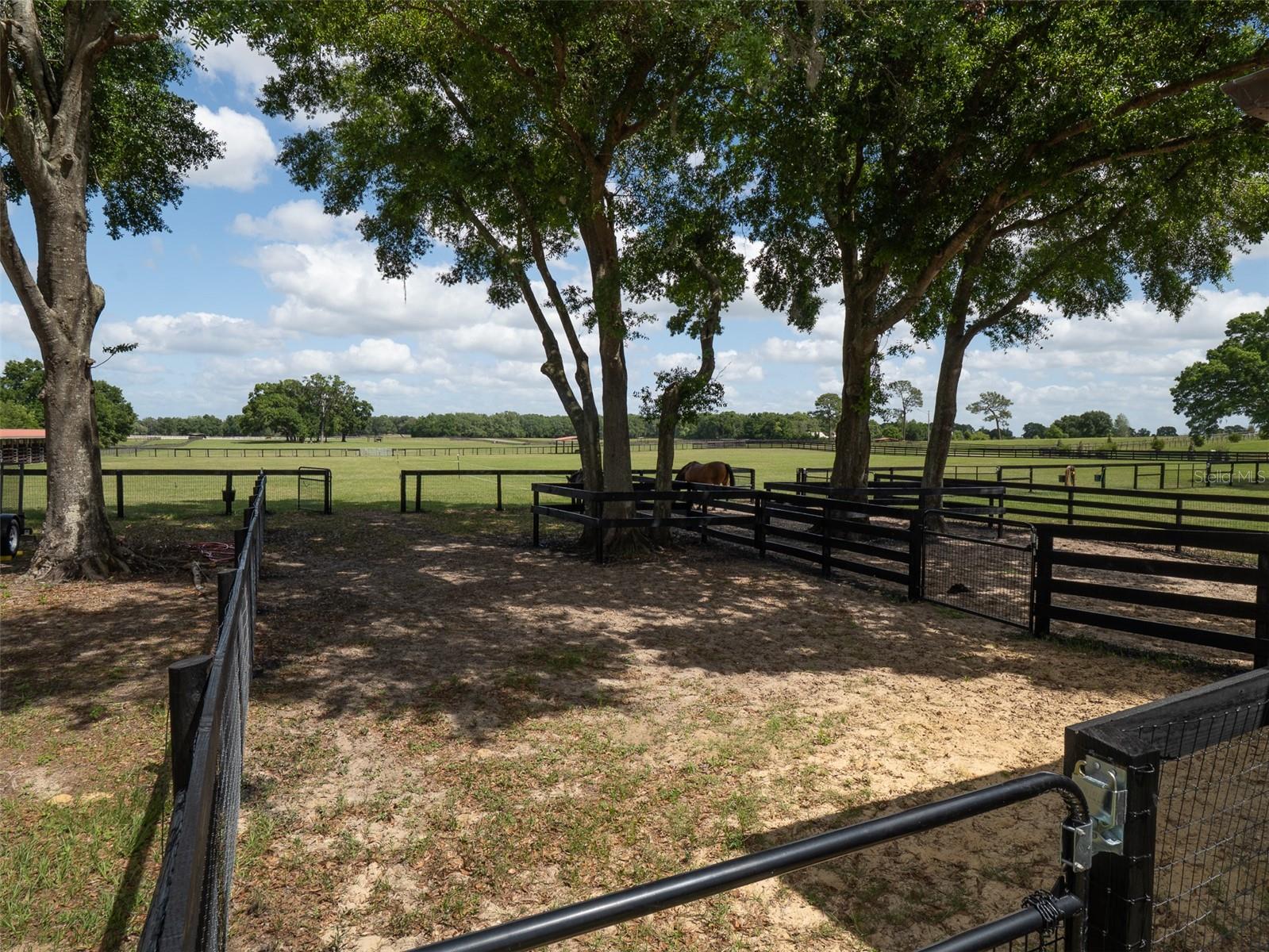 15134 NE 15TH CT, CITRA, FL, 32113