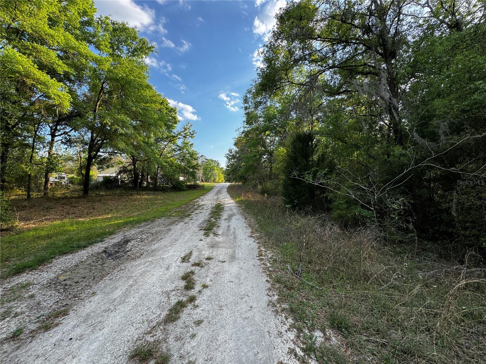 NE 155TH TER, WILLISTON, FL, 32696