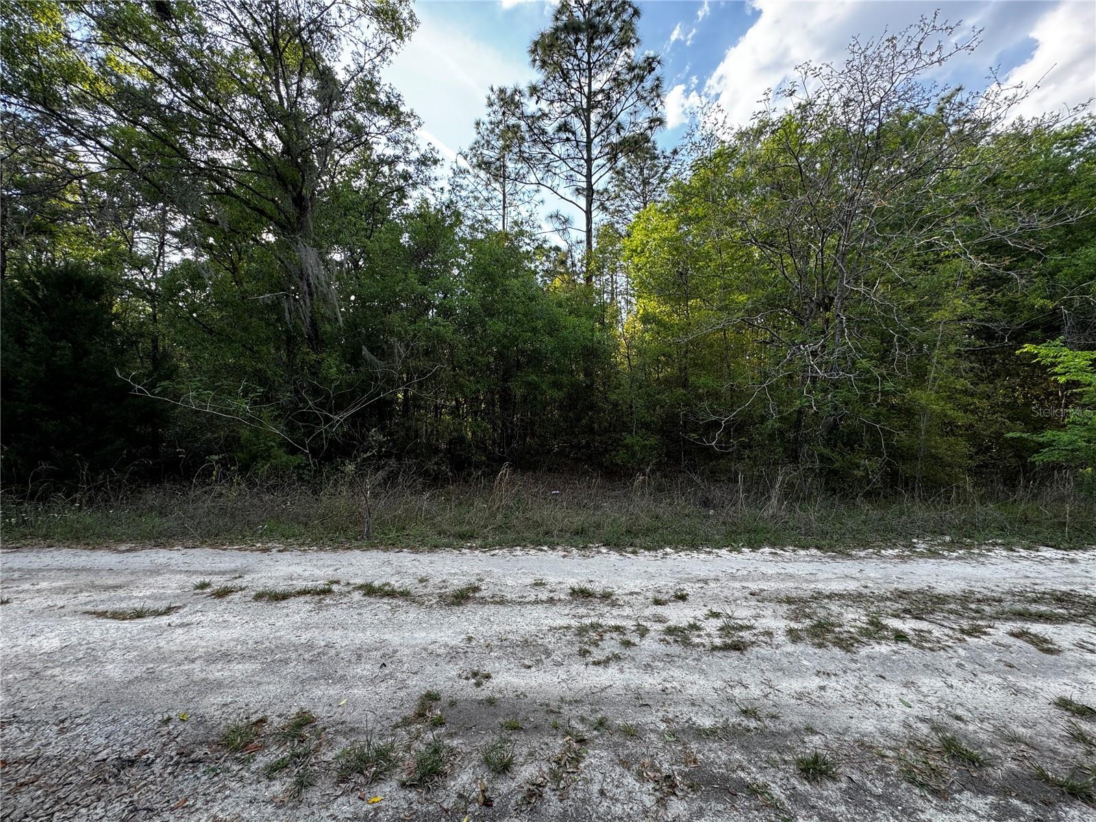 NE 155TH TER, WILLISTON, FL, 32696