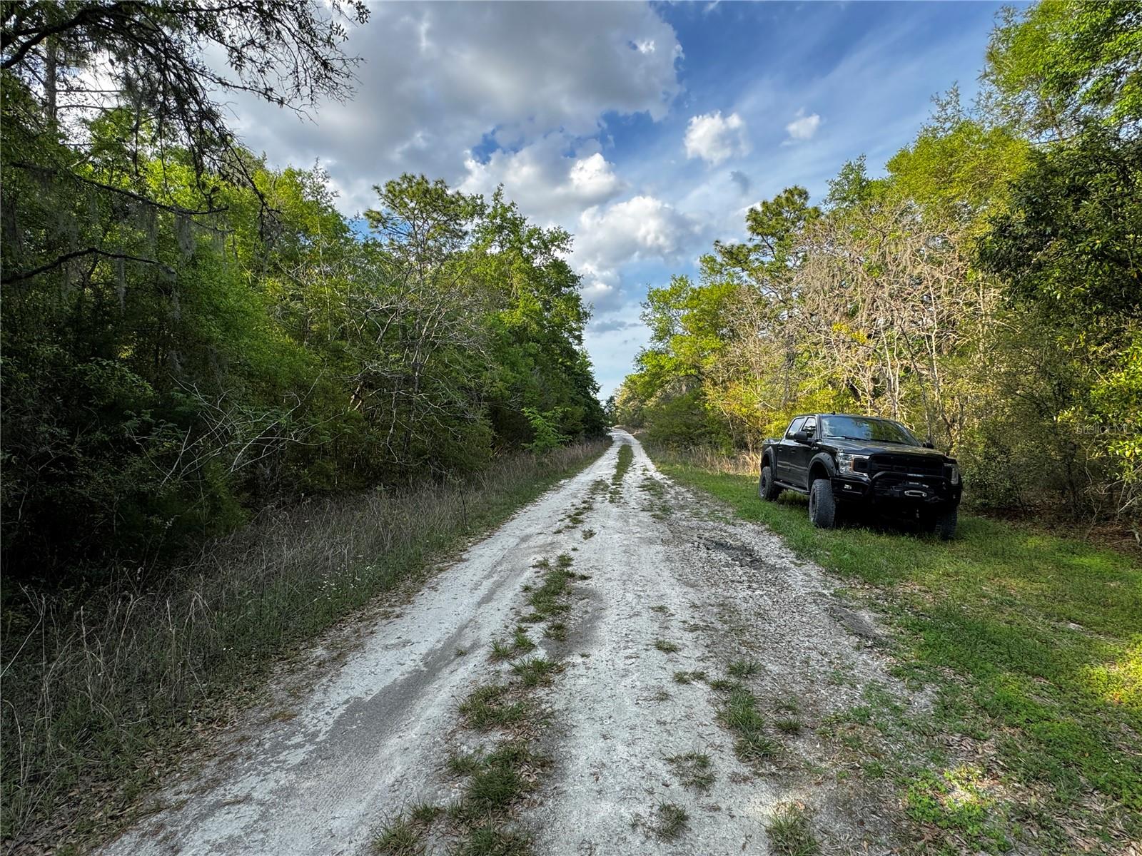 NE 155TH TER, WILLISTON, FL, 32696