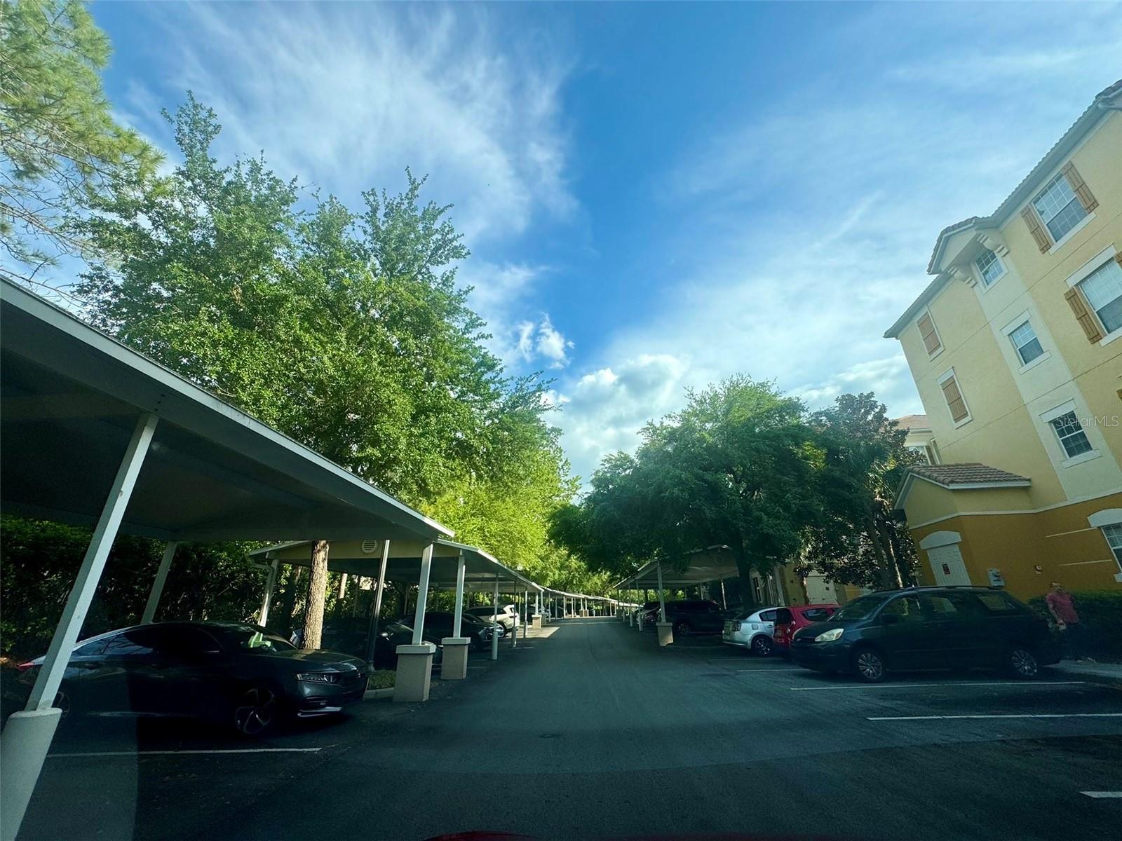 3314 ROBERT TRENT JONES DR #309, ORLANDO, FL, 32835