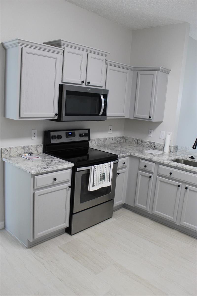 12503 SPARKLEBERRY RD, TAMPA, FL, 33626