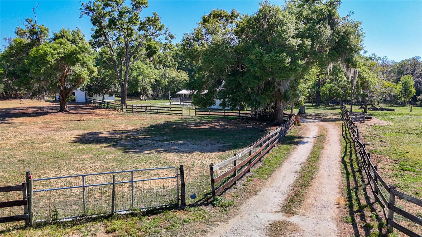29125 OLD TRILBY RD, BROOKSVILLE, FL, 34602
