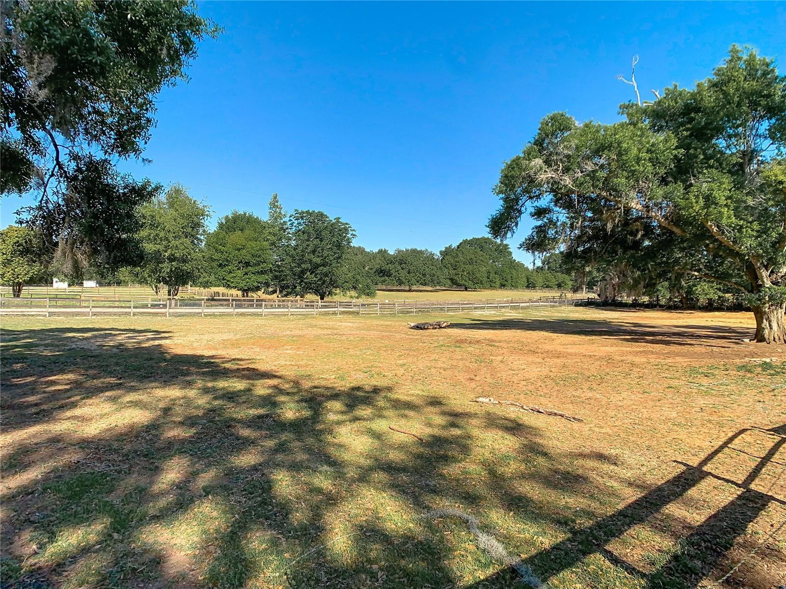 29125 OLD TRILBY RD, BROOKSVILLE, FL, 34602