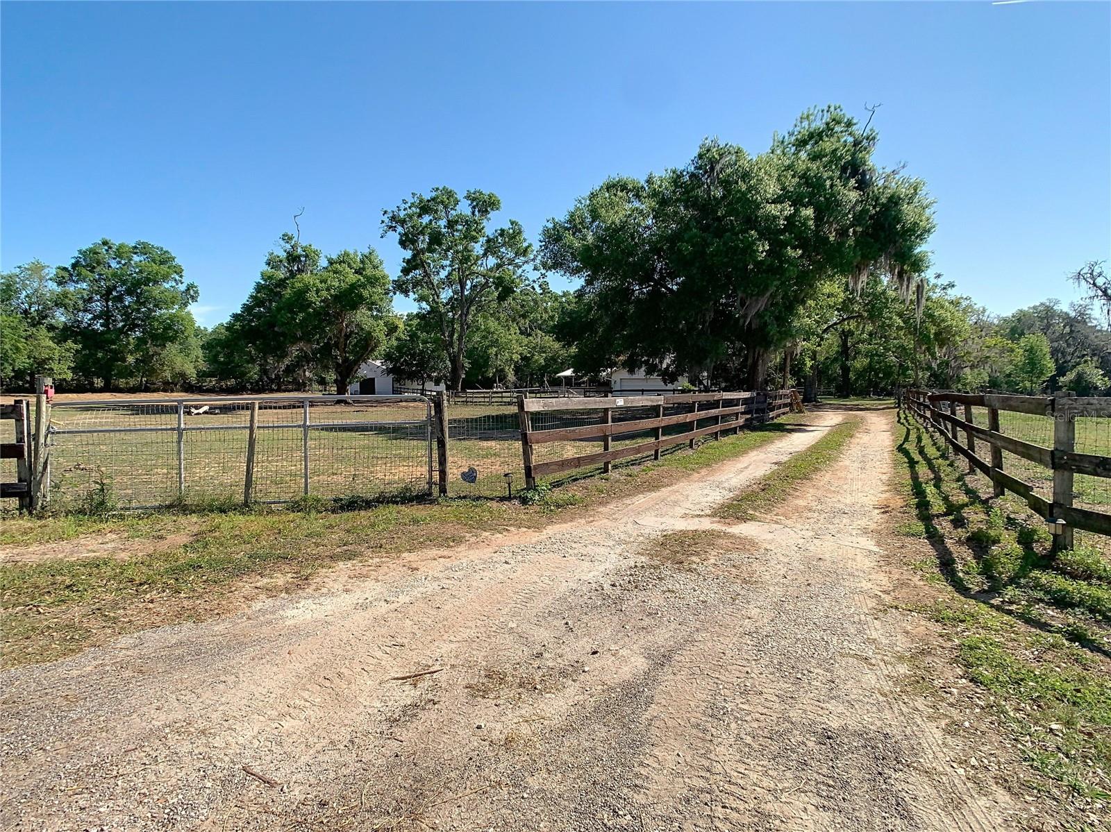 29125 OLD TRILBY RD, BROOKSVILLE, FL, 34602