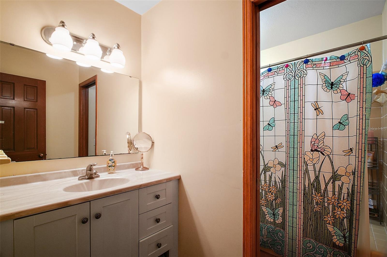 5331 MAGNOLIA RIDGE RD, FRUITLAND PARK, FL, 34731