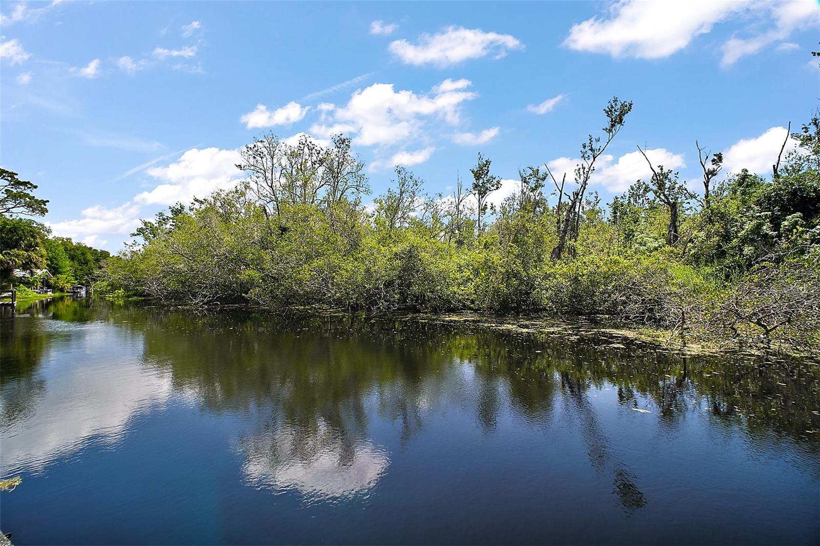 5331 MAGNOLIA RIDGE RD, FRUITLAND PARK, FL, 34731