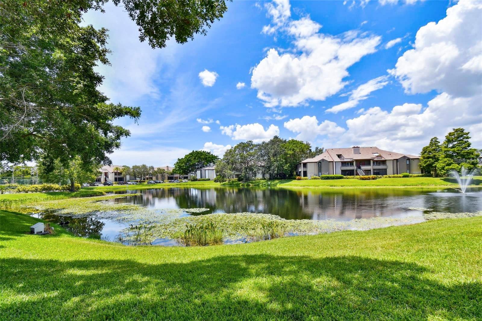 10265 GANDY BLVD N #705, ST PETERSBURG, FL, 33702