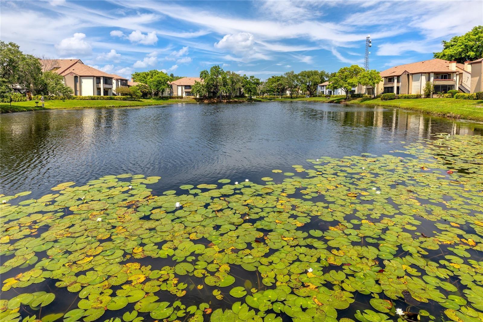 10265 GANDY BLVD N #705, ST PETERSBURG, FL, 33702