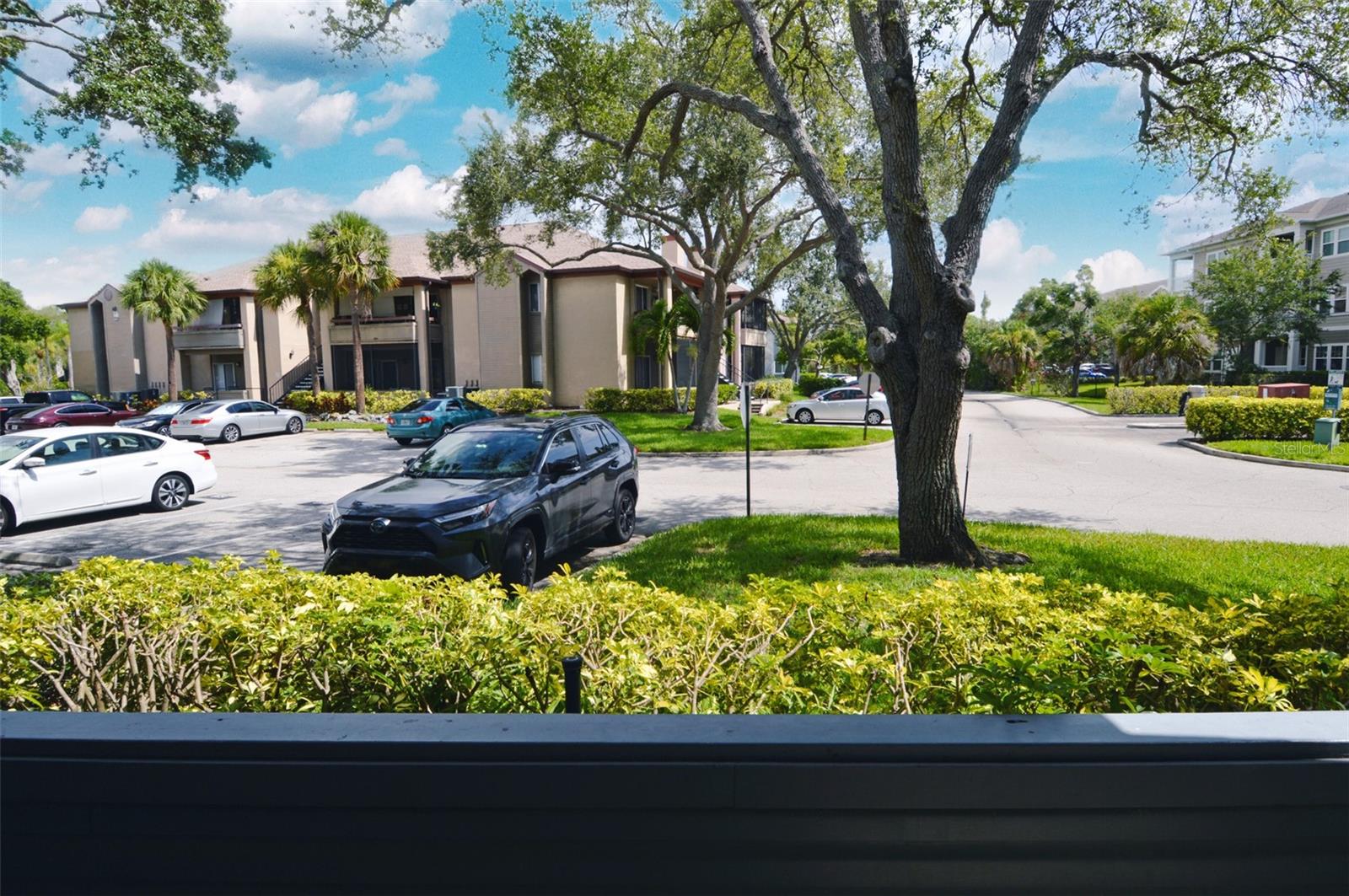 10265 GANDY BLVD N #705, ST PETERSBURG, FL, 33702