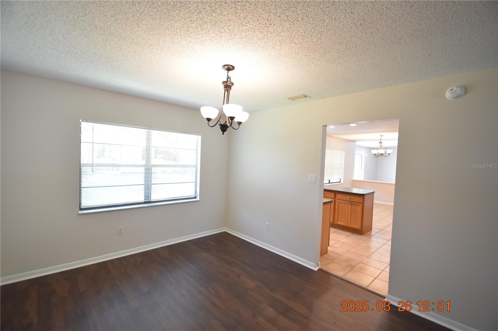 411 BLOOMINGFIELD DR, BRANDON, FL, 33511