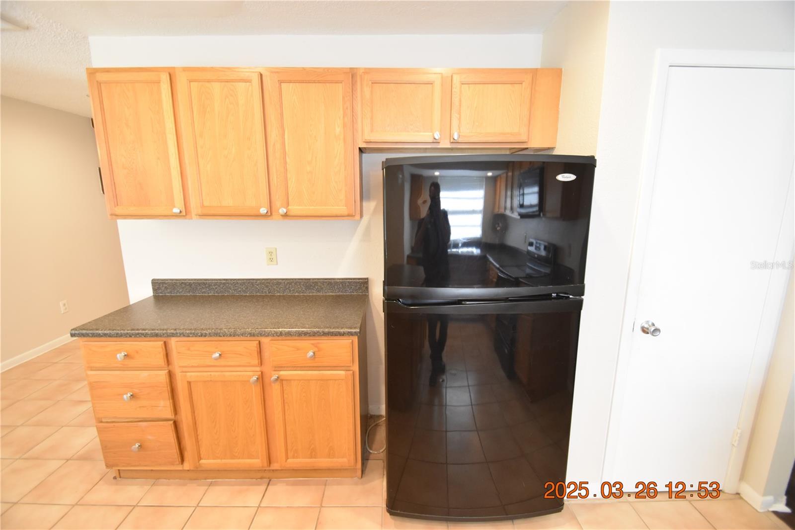 411 BLOOMINGFIELD DR, BRANDON, FL, 33511