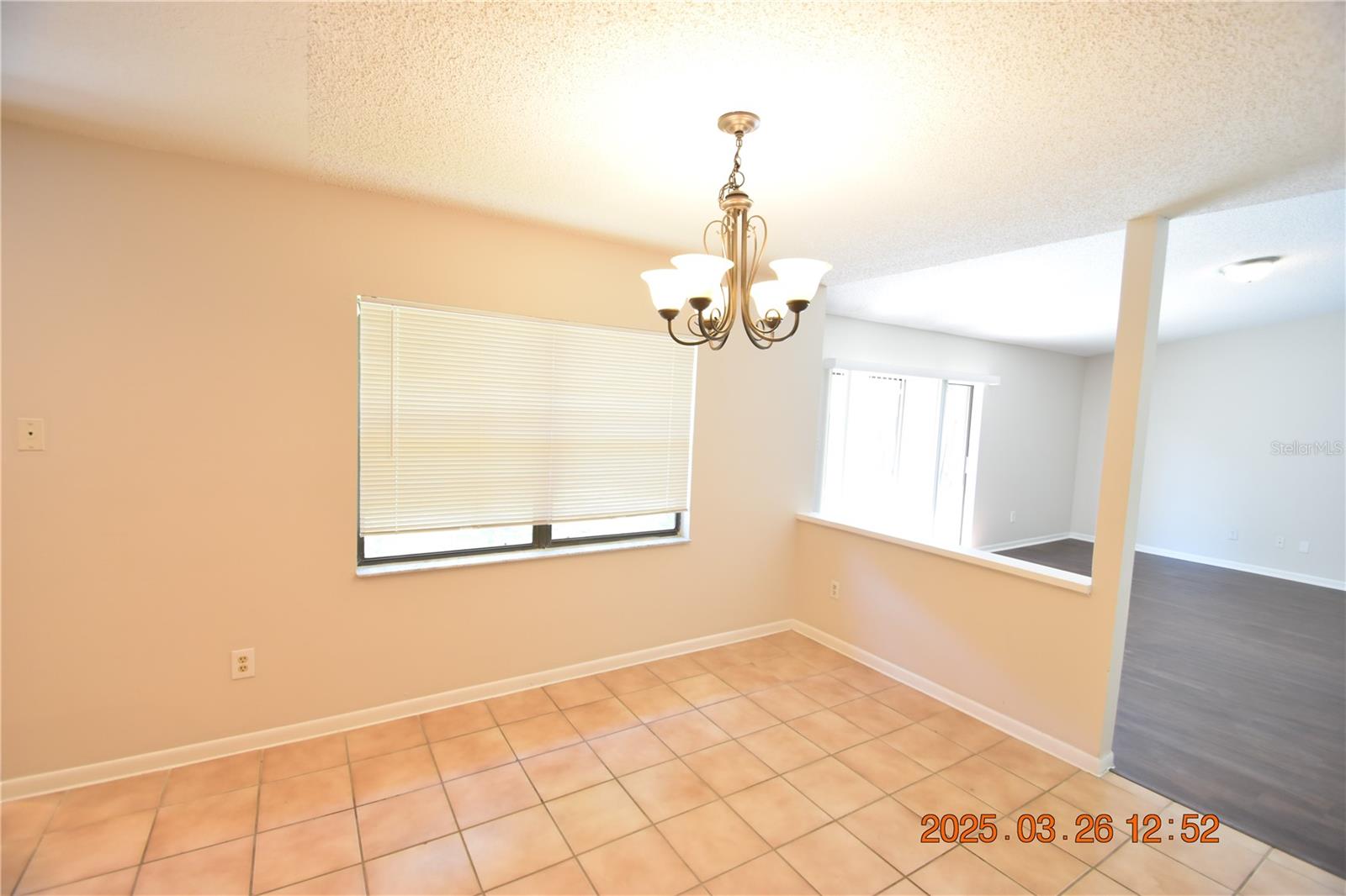 411 BLOOMINGFIELD DR, BRANDON, FL, 33511