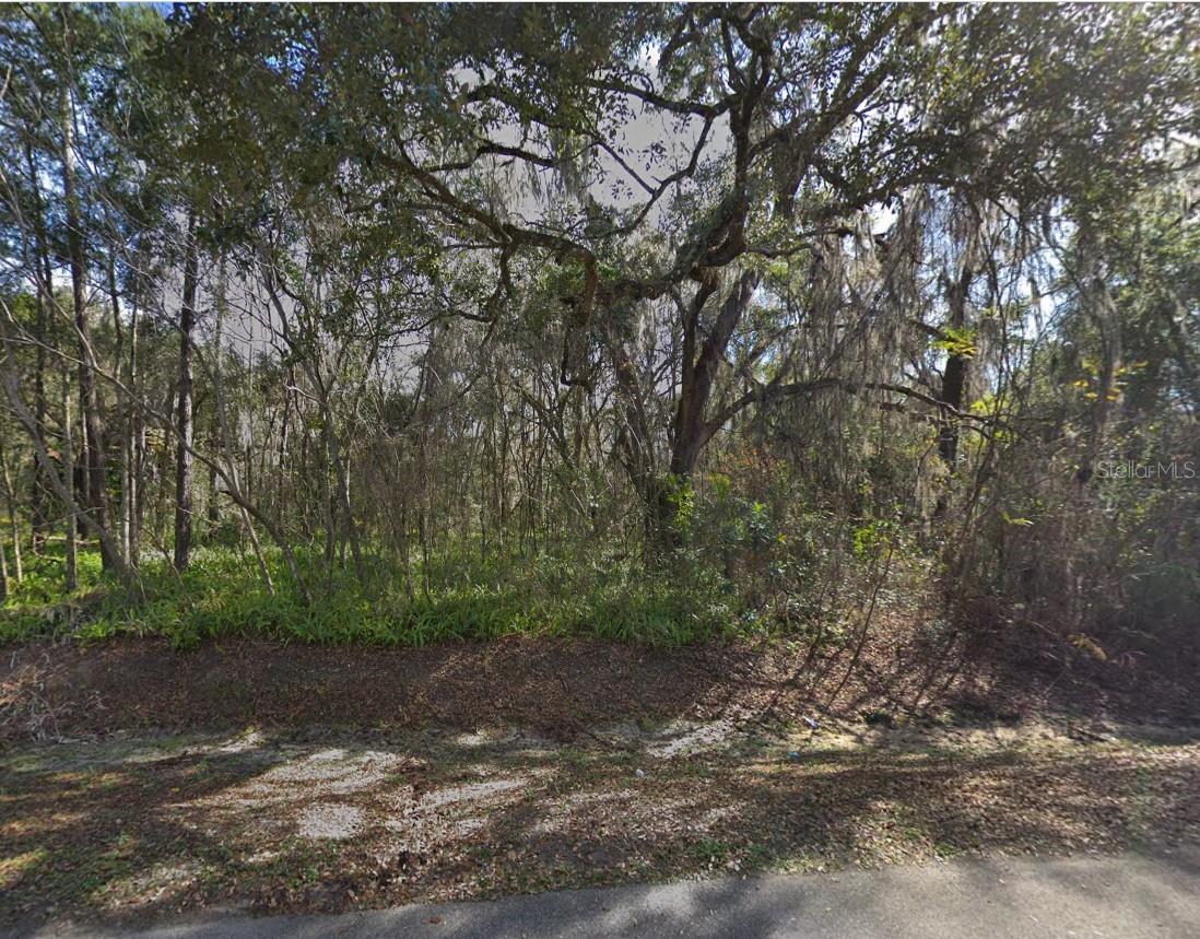 Lot 48 DECATUR AVE, BROOKSVILLE, FL, 34601