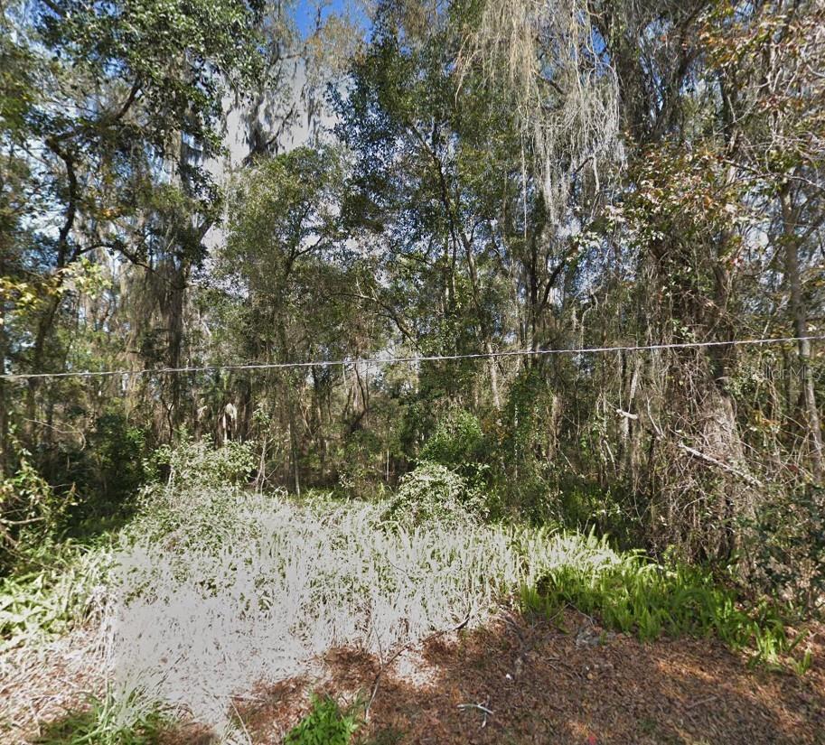 Lot 48 DECATUR AVE, BROOKSVILLE, FL, 34601