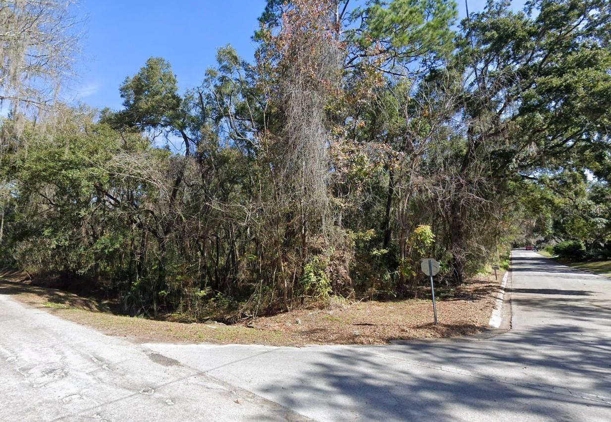 Lot 48 DECATUR AVE, BROOKSVILLE, FL, 34601