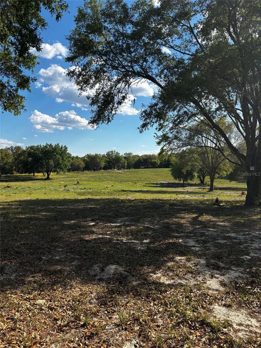 180 SE 165TH COURT RD, SILVER SPRINGS, FL, 34488
