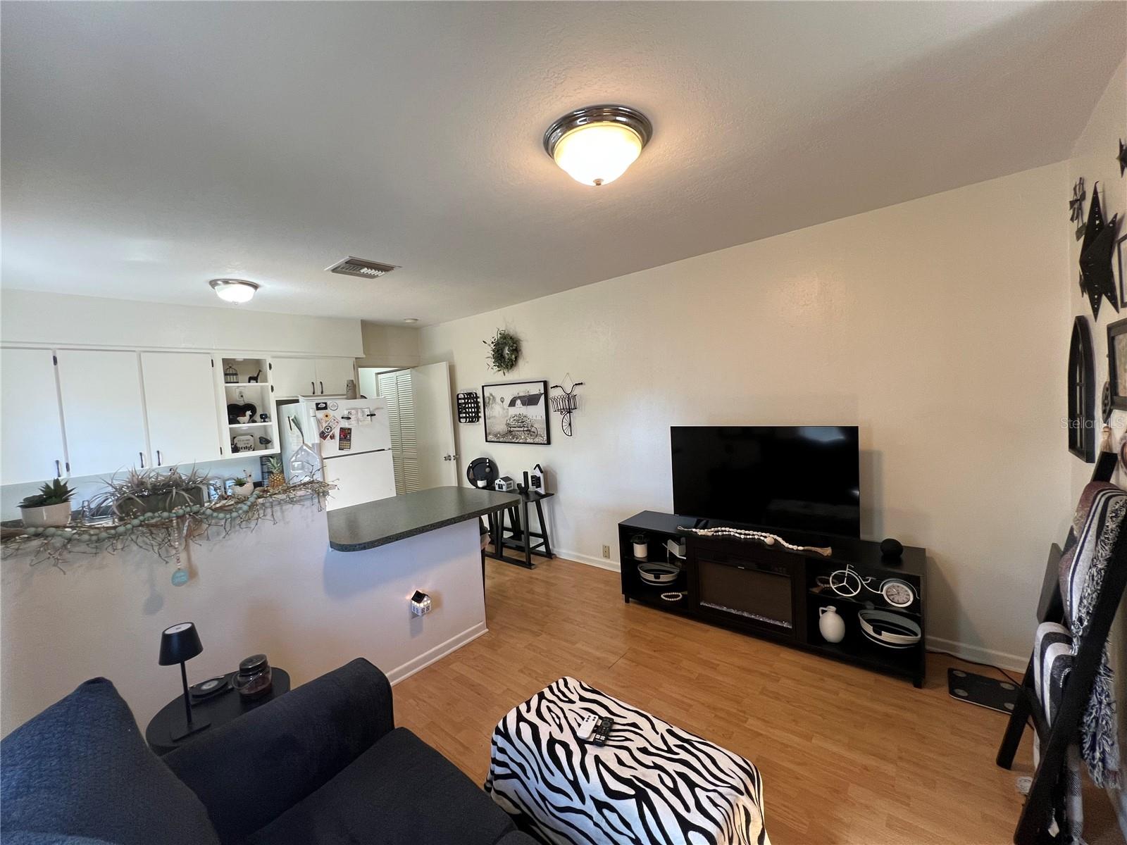 510 E ORANGE AVE, EUSTIS, FL, 32726