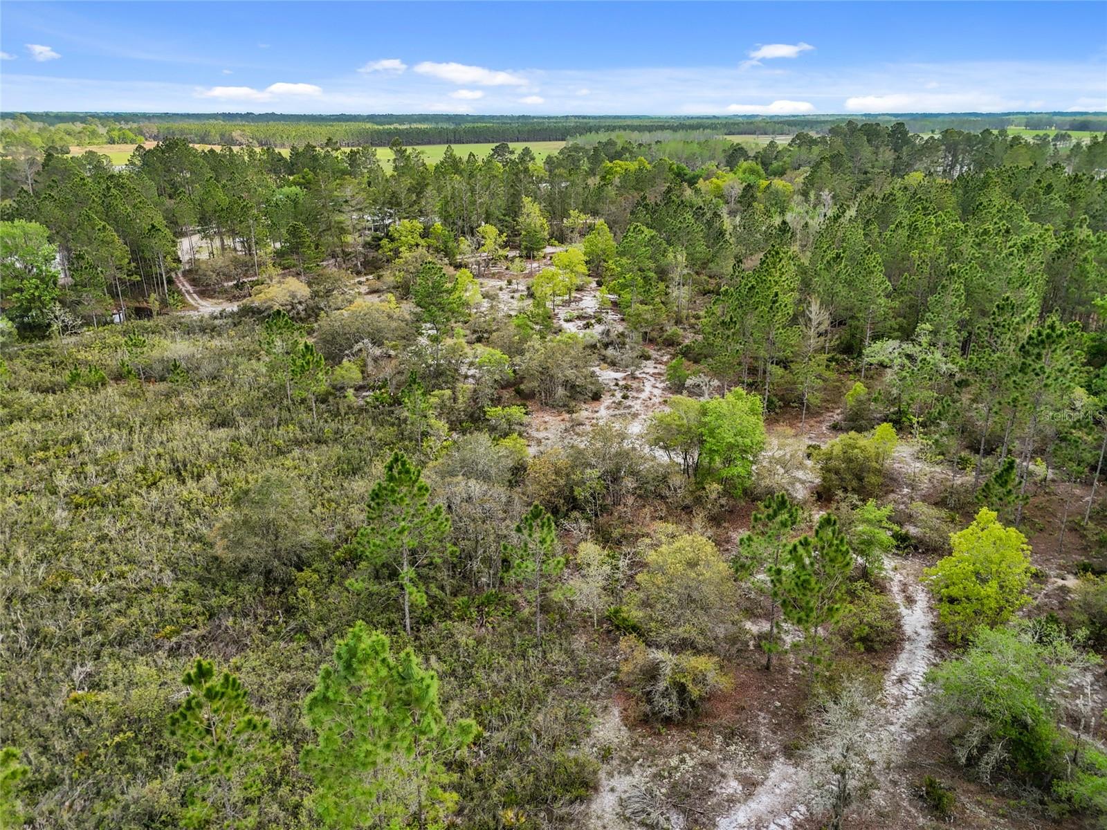 00 SE 80TH TRL, TRENTON, FL, 32693