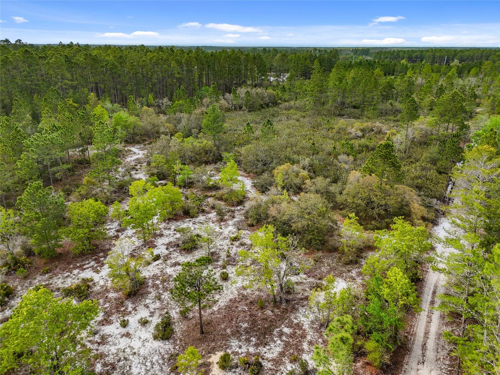 00 SE 80TH TRL, TRENTON, FL, 32693