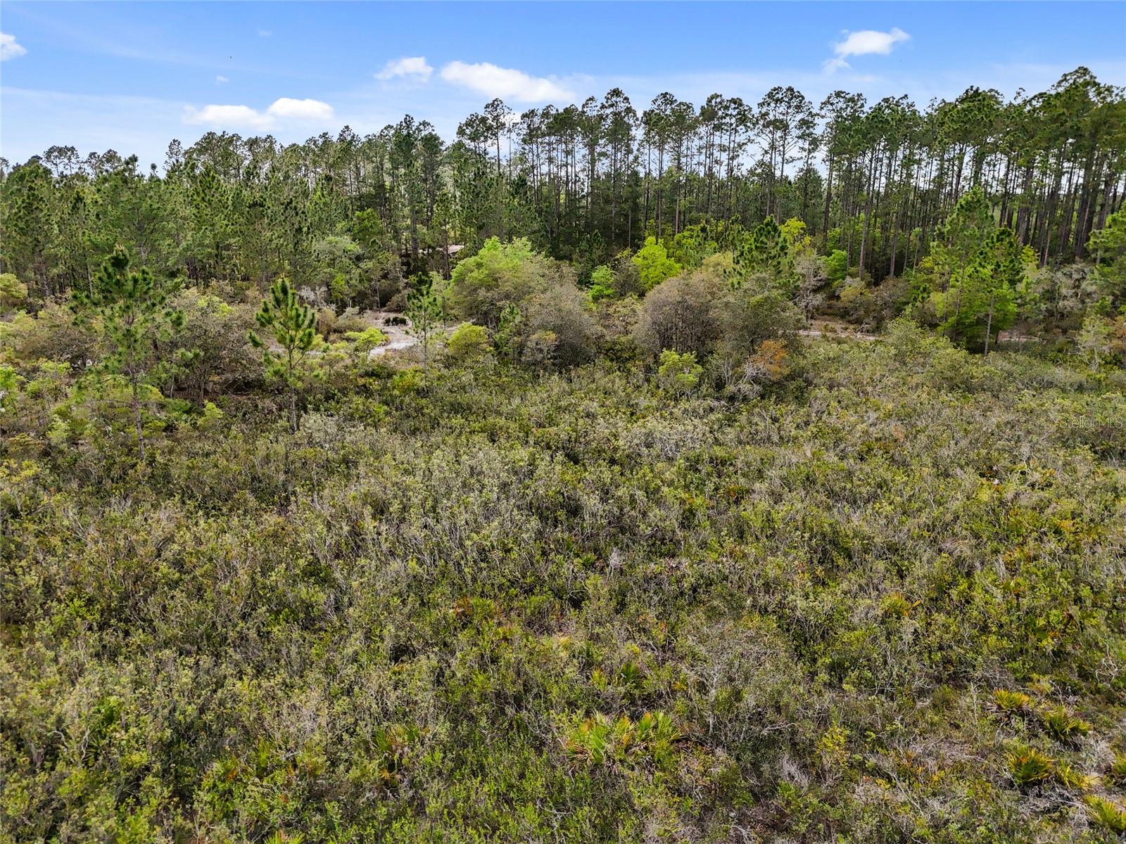 00 SE 80TH TRL, TRENTON, FL, 32693