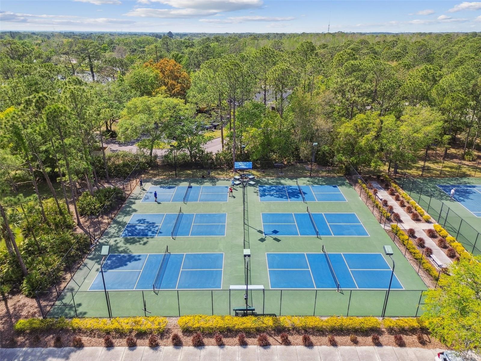 10418 APPLECROSS LN, TAMPA, FL, 33626