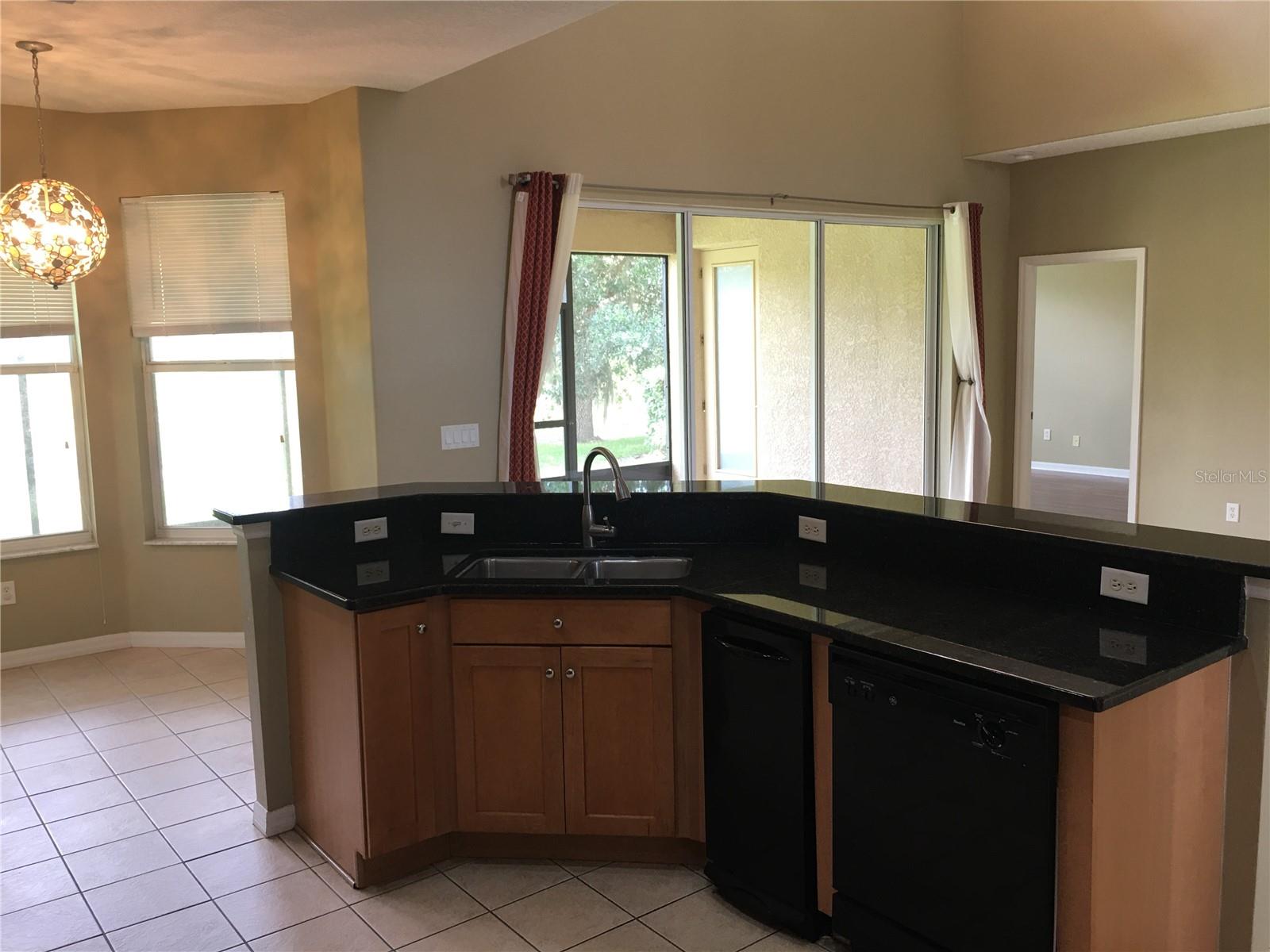 18047 JAVA ISLE DR, TAMPA, FL, 33647
