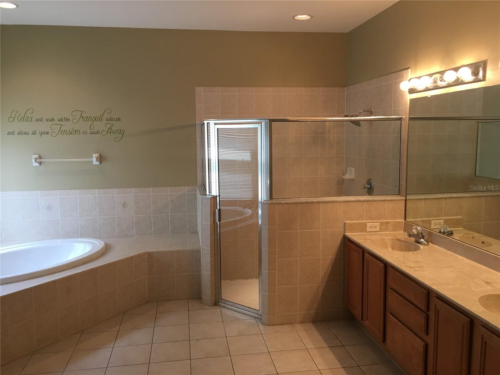 18047 JAVA ISLE DR, TAMPA, FL, 33647