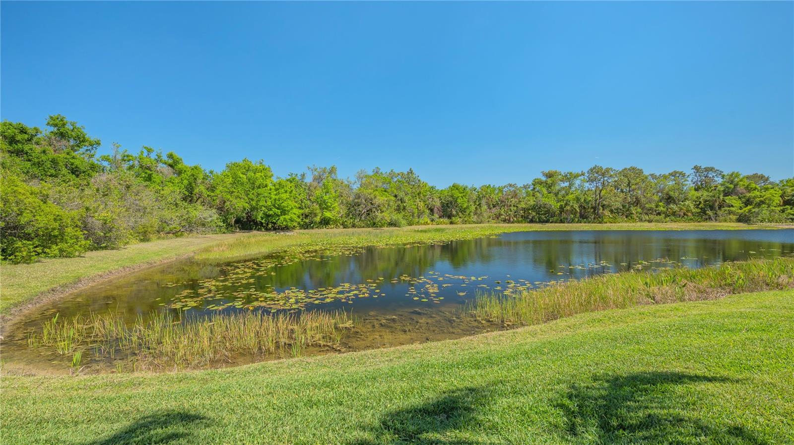 7407 GREEN ST, BRADENTON, FL, 34201