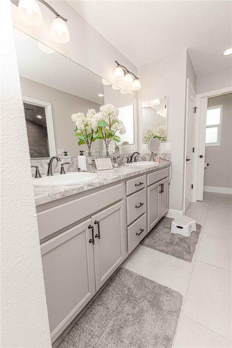 3273 DZURO DR, OXFORD, FL, 34484