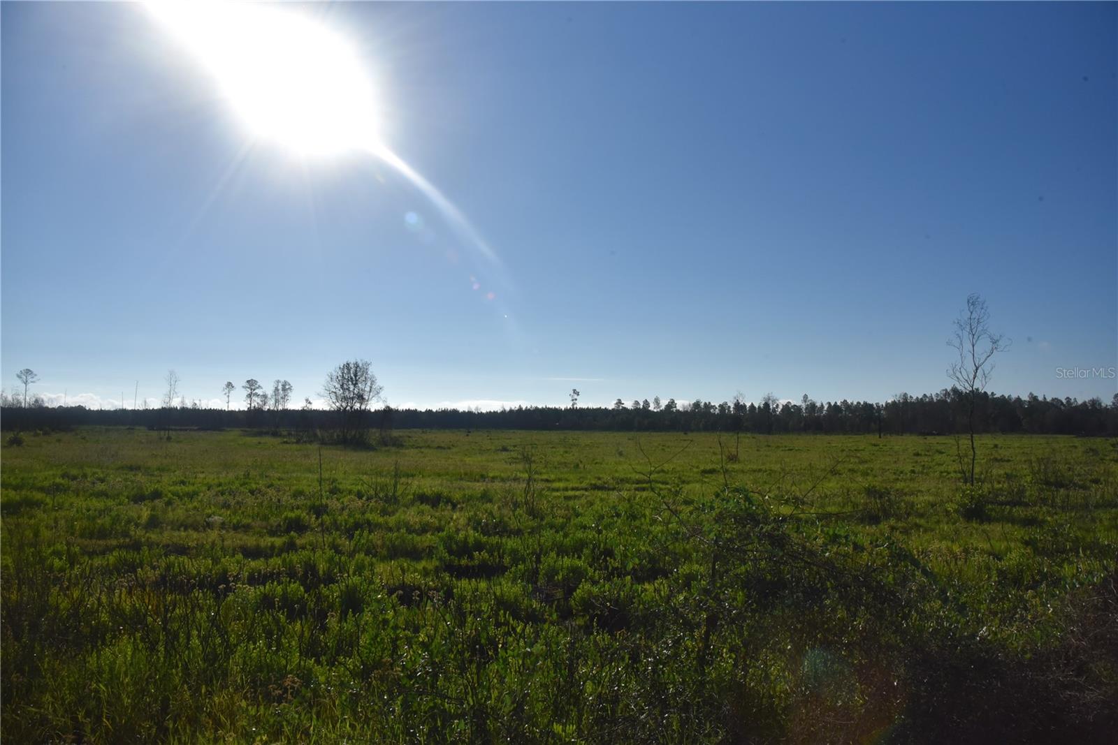 OFF HWY 225, GAINESVILLE, FL, 32609
