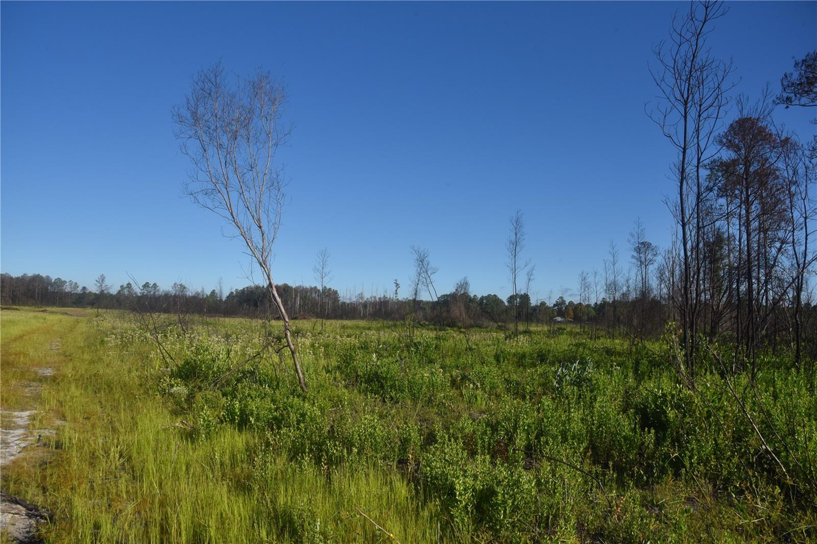 OFF HWY 225, GAINESVILLE, FL, 32609