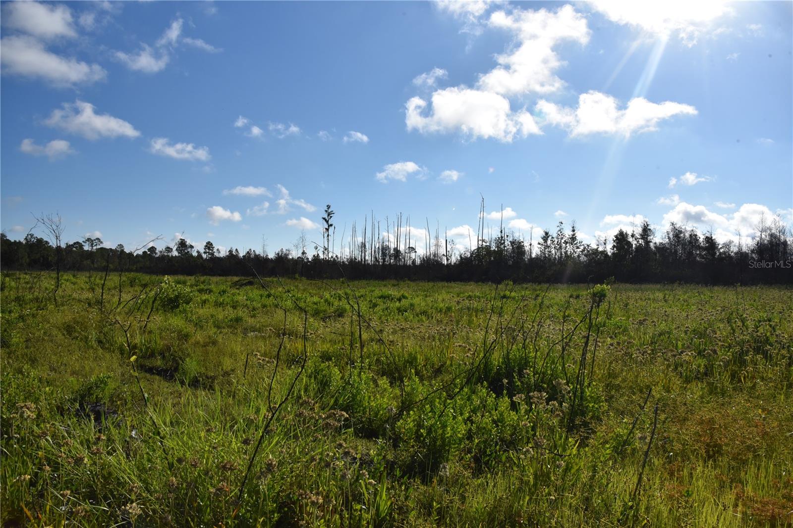 OFF HWY 225, GAINESVILLE, FL, 32609
