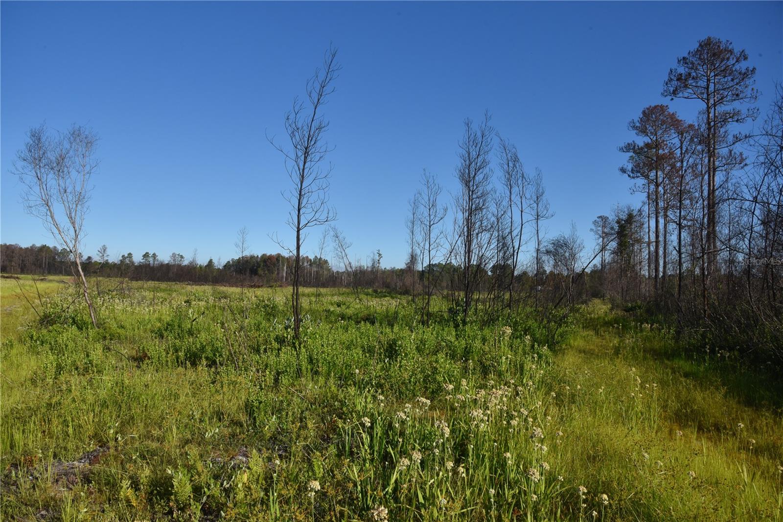 OFF HWY 225, GAINESVILLE, FL, 32609