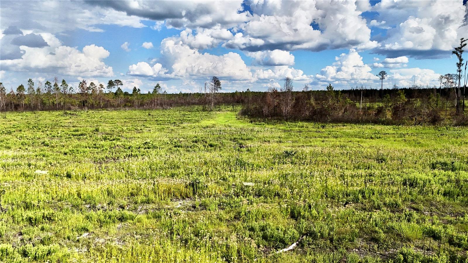 OFF HWY 225, GAINESVILLE, FL, 32609